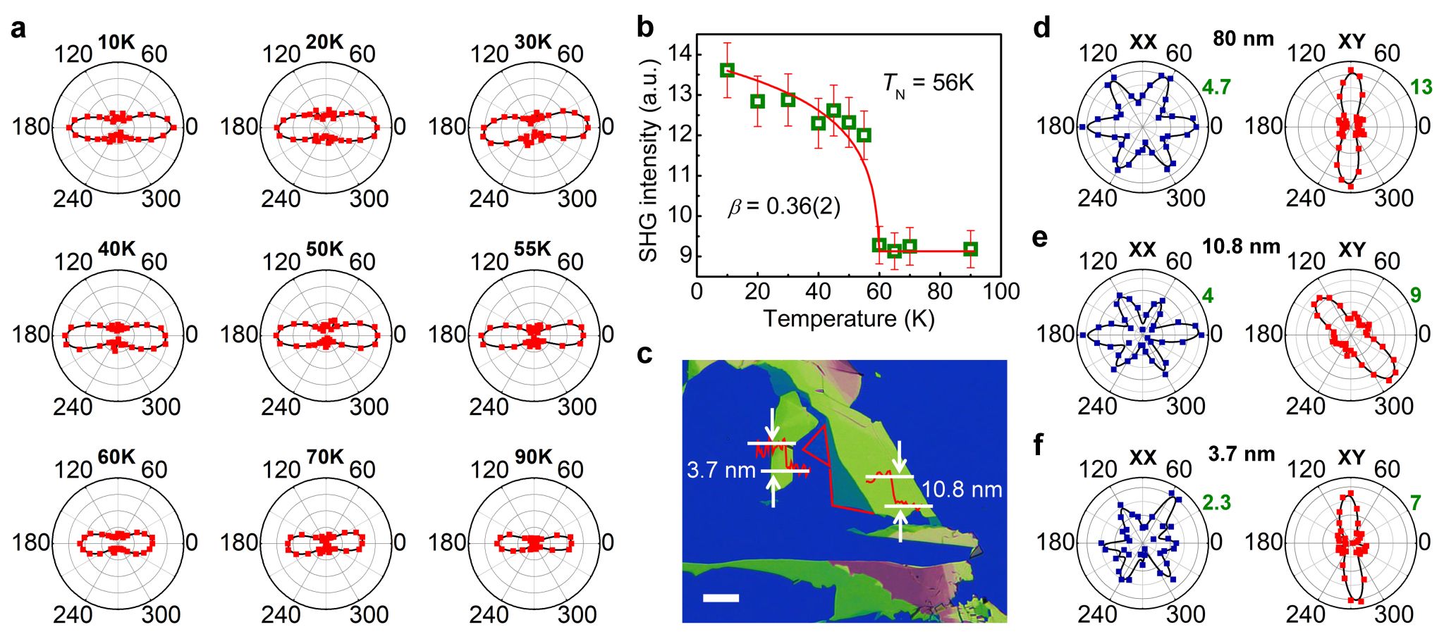 中国科大在二维磁性材料研究领域中取得系列
